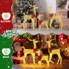 Three reindeer lights, Christmas decorations, outdoor，golden