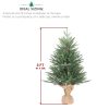 3 FT Tabletop Artificial Mini Christmas Tree with Cloth Bag Base for Bedroom Table Desk Porch, Small Xmas Tree with 100 Branch Tips for Home Office Store Holiday Deco, Green